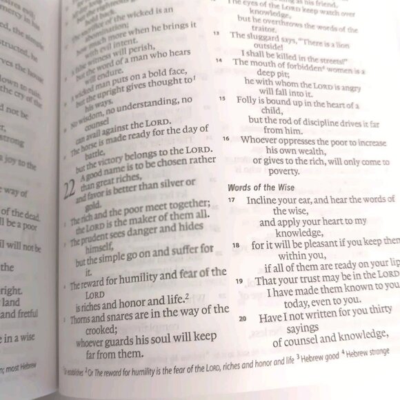 The Compact Holy Bible E100 Military Edition English Standard Verson ESV 2011 - Picture 9 of 13